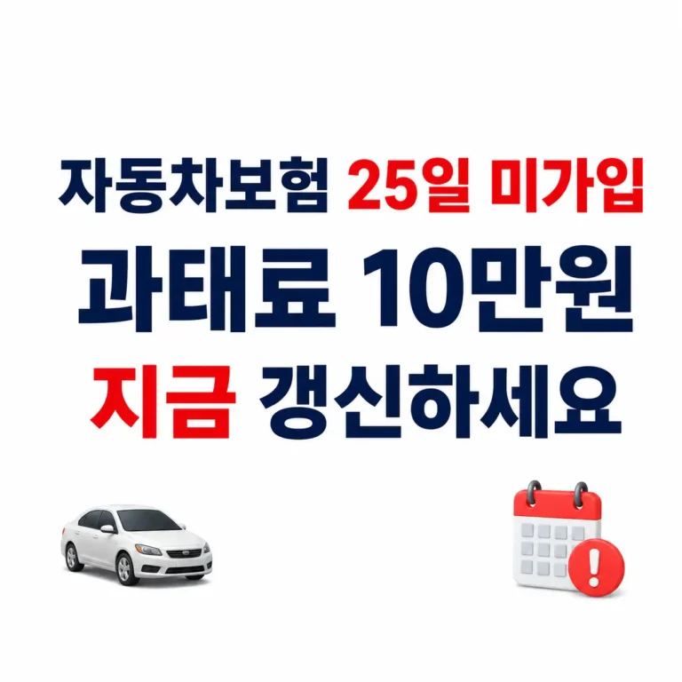 자동차보험 과태료10만원