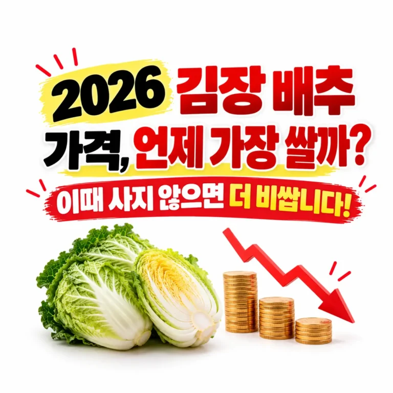 김장 배추 가격이 언제 가장 쌀까?